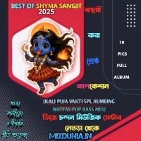 Chaina Mago Raja Hota (Kali Puja Spl Vakti Humming Watts Pop Bass Mix 2025)   Dj Chandan Music Center   Netra Se