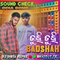 Tuhi Tuhi Badshah (Odia New Dialogue Spl PowerFul Sound Check Mix 2026) Dj Dibya Remix Bhadrak Se