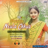 Hajigala Neula Chhua (Odia Item Song Dance Blast Mix 2023) Dj M Remix