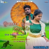 Chhata Upare Kiye Lo (Odia Item Song Dance Blast Mix 2023)   Dj M Remix