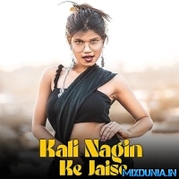 Kali Nagin Ke Jaisi (Instagram Viral Reels Remix Song 2023)   Dj SMR