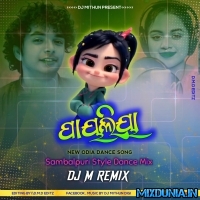 Payaliya (Sambalpuri Style Dance Mix Step 2023) Dj MithuN Digi