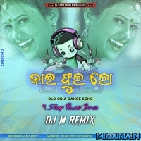 Jai Phoola Lo (Odia Item Song Dance Blast mix 2023)   Dj MithuN Back